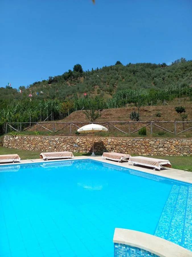 Villa Ester Camaiore Italia