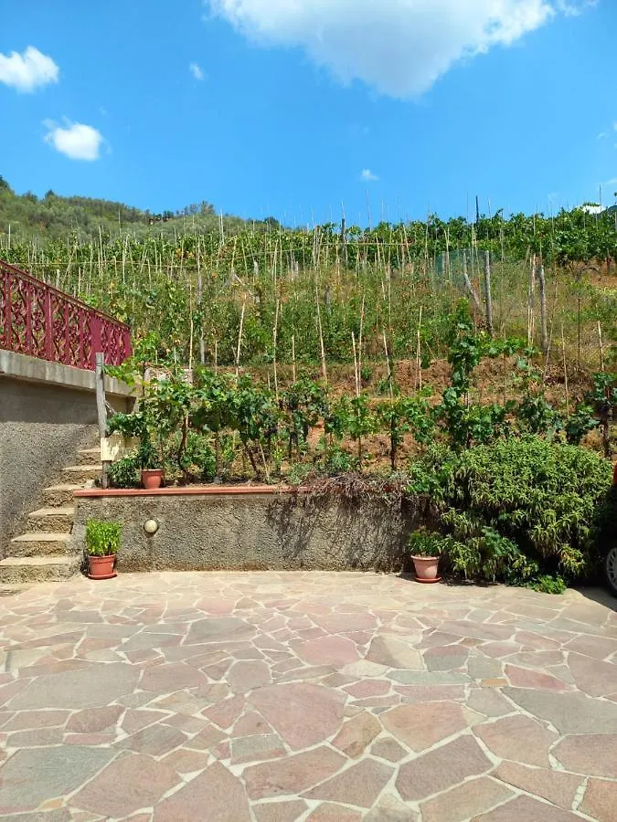 Villa Ester Camaiore 0*,  Italia